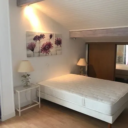 Villa House Maison Haize Hegoa 13 - Avec Piscine Dans Quartier Calme Et Residentiel